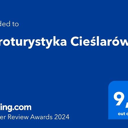 Agroturystyka Cieslarowka Любавка Экстерьер фото
