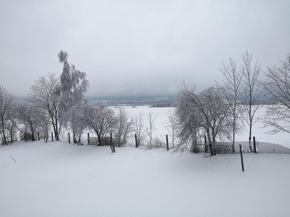 Agroturystyka Cieslarowka Любавка Экстерьер фото